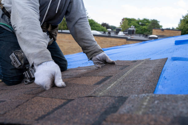 Best Best Roofing Contractors  in Manhattan, IL